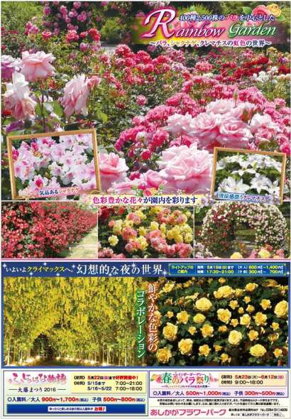 ふじのはな物語2016第四弾