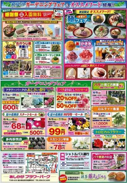 花菖蒲・あじさいまつり2016