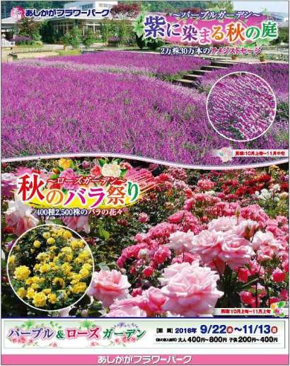 パープル＆ローズガーデン2016