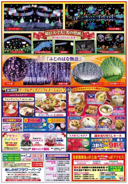 2016年フラワーファンタジー「光の花の庭」第三弾