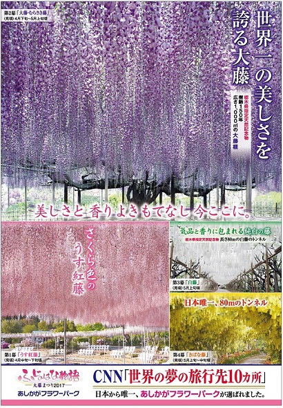 ふじのはな物語2017第一弾