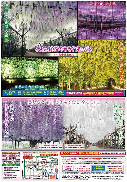 ふじのはな物語2017第三弾