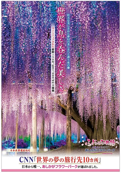 ふじのはな物語2017第三弾