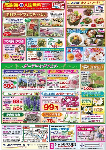 花菖蒲・あじさいまつり2017