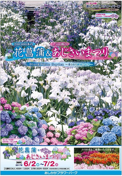 花菖蒲・あじさいまつり2017