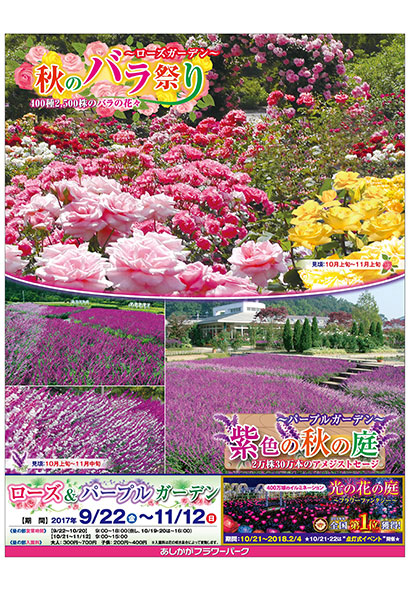 ローズ＆パープルガーデン2017