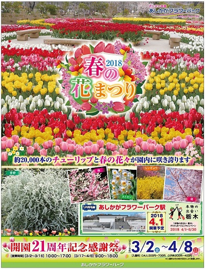 春の花まつり Spring Flower Festival 2017