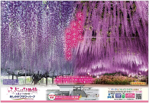 ふじのはな物語2018第一弾