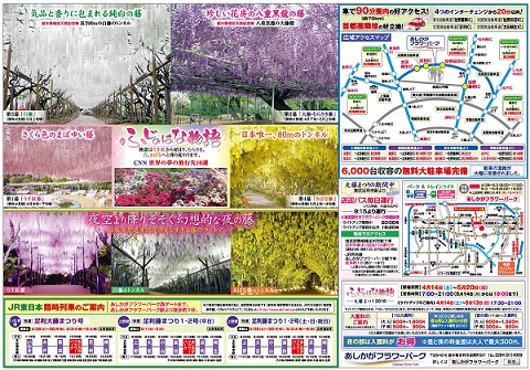 ふじのはな物語2018第一弾