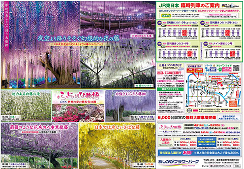 ふじのはな物語2018第三弾