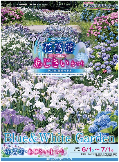 花菖蒲・あじさいまつり2018