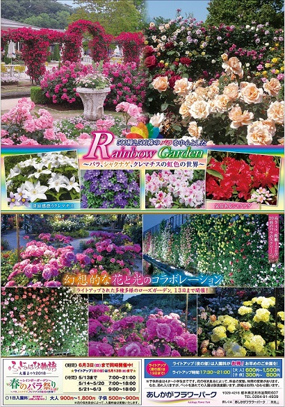 春のバラまつり2018