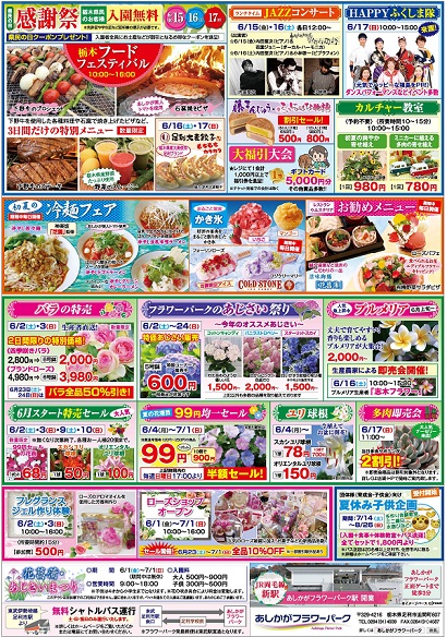 花菖蒲・あじさいまつり2018