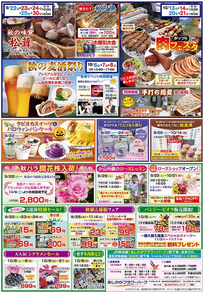 ローズ＆パープルガーデン2018