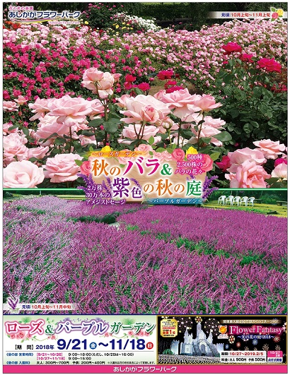 ローズ＆パープルガーデン2018