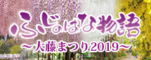 ふじのはな物語2019