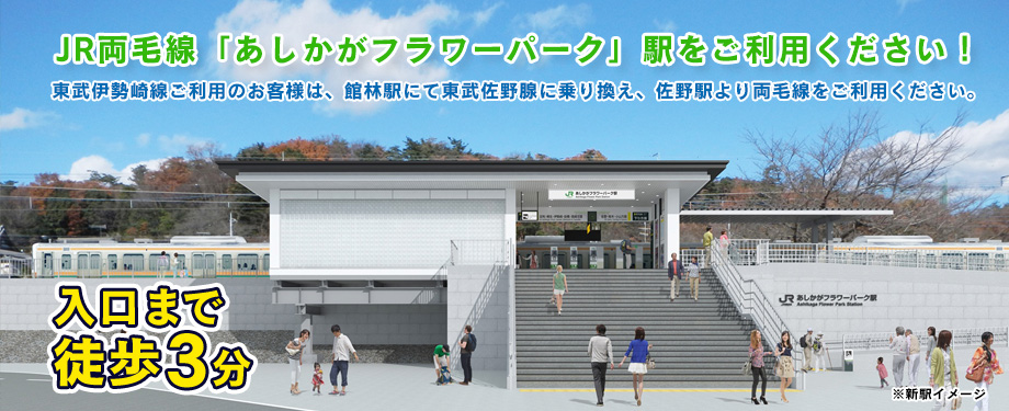 あしかがフラワーパーク 公式サイト