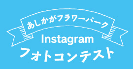 インスタグラムフォトコンテスト