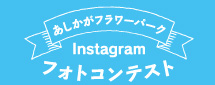 インスタグラムフォトコンテスト
