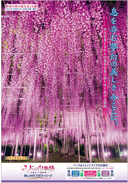 ふじのはな物語2019 第三弾