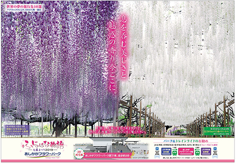 ふじのはな物語2019 第二弾