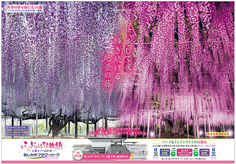 ふじのはな物語2019 第一弾