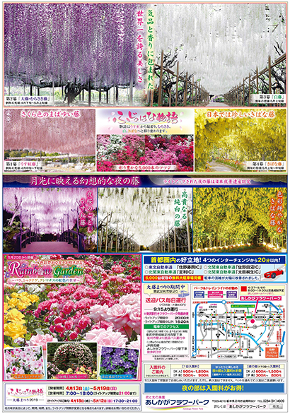 ふじのはな物語2019 第三弾