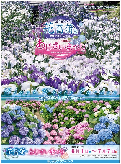花菖蒲・あじさいまつり2019