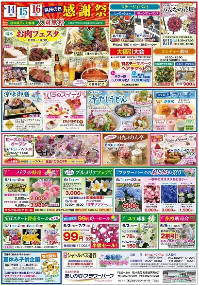 花菖蒲・あじさいまつり2019