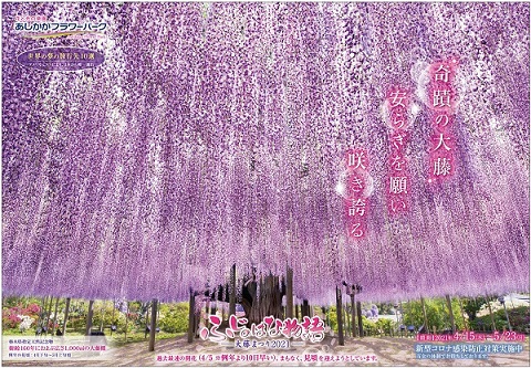 ふじのはな物語2021第一弾