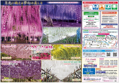 ふじのはな物語2021第二弾