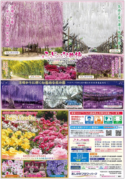 ふじのはな物語2021第三弾