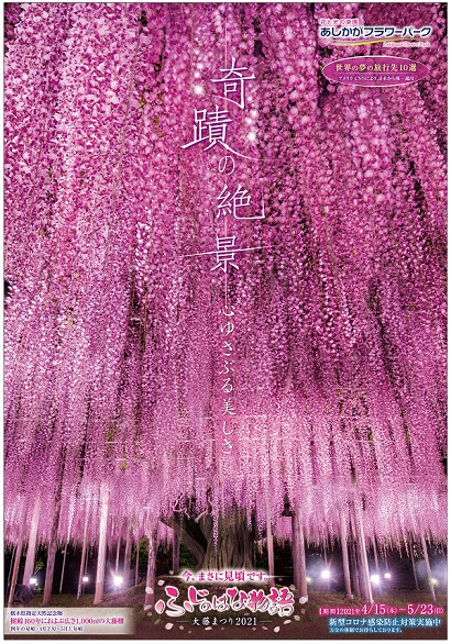 ふじのはな物語2021第三弾