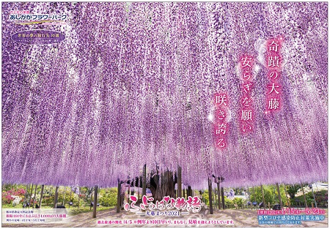 ふじのはな物語2021第二弾