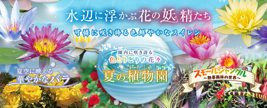 あしかがフラワーパーク 公式サイト