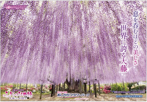 ふじのはな物語2022第一弾