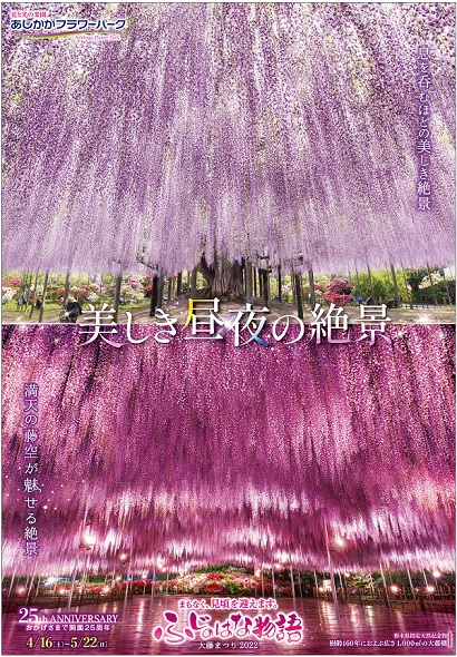 ふじのはな物語2022第二弾