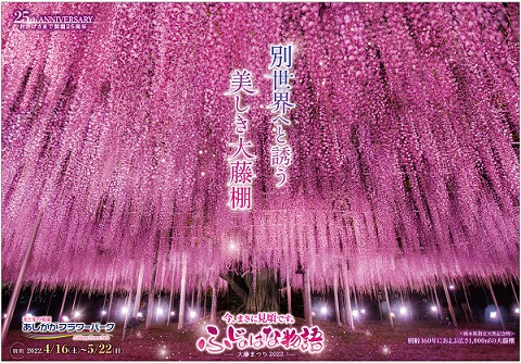 ふじのはな物語2022第三弾