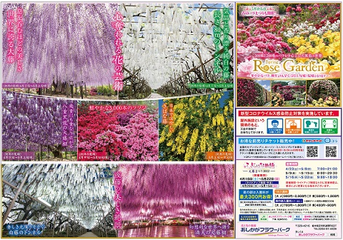 ふじのはな物語2022第三弾