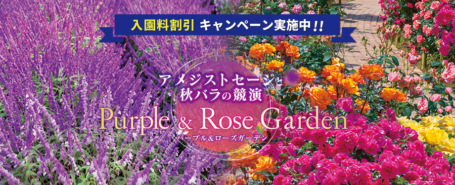 あしかがフラワーパーク 公式サイト あしかがフラワーパーク 公式サイト