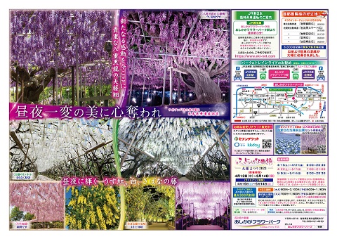 ふじのはな物語2023第二弾