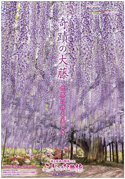 ふじのはな物語2023第一弾