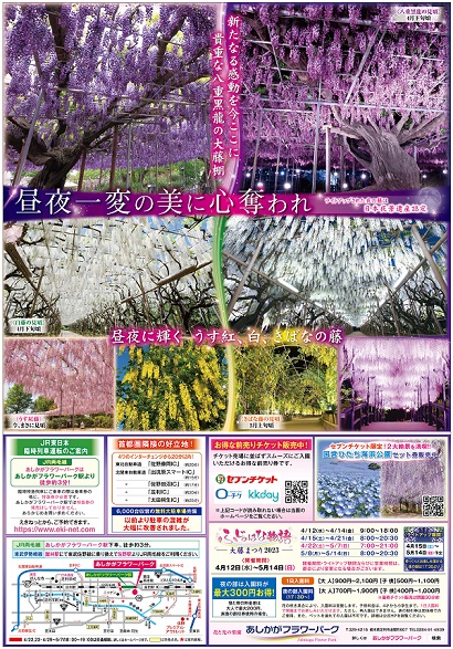 ふじのはな物語2023第一弾