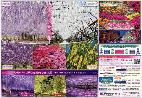 ふじのはな物語2023第三弾