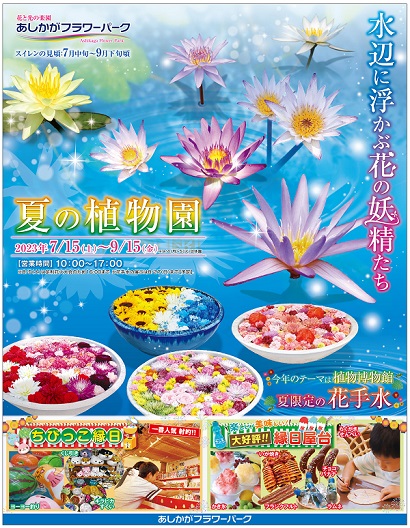 水辺に浮かぶ花の妖精たち