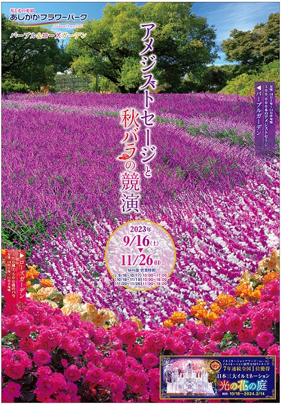 パープル＆ローズガーデン2023