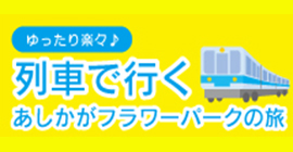 電車で行く!大藤まつり!!