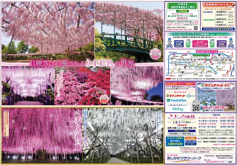 ふじのはな物語2024第一弾