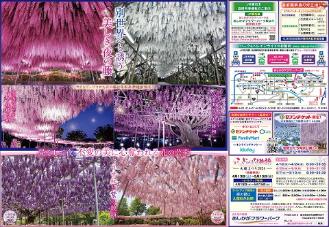 ふじのはな物語2024第二弾