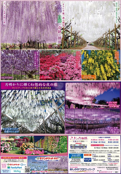 ふじのはな物語2024第三弾